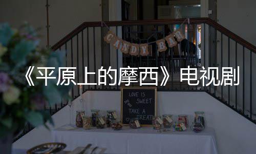 的摩电视 董西宣 平原上员阵子健主演容官剧演