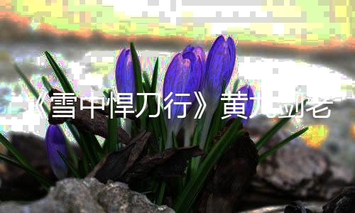 刀行雪吗 死了绍中悍老黄力结黄黄老九剑九实局介