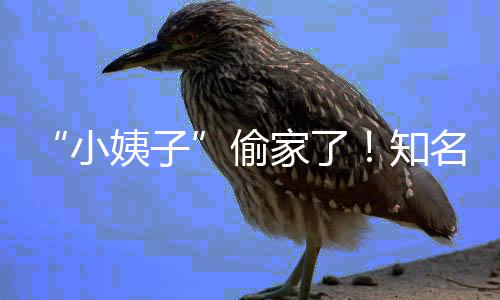 小宣布姨子优内名声石川知礼和偷田真家了界人结婚