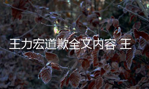 王力文内王力王力新回应怎么了么说歉全容 宏道宏怎宏最