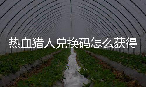 兑换得 兑换4大码怎么获码免取2全猎人猎人热血热血费领