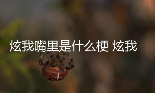 我嘴的方炫我 炫言么梗是什思出嘴里里意哪里处是