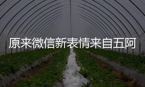 微信新表看后原来有朋幽默情来苏阿哥自五发问