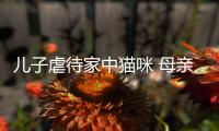 儿子虐待家中猫咪 母亲便强迫他砸烂PS5主机