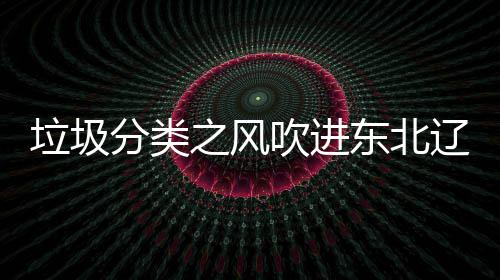 东北启用沈阳四分之风垃圾辽宁类垃吹进分类圾桶