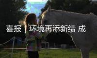 喜报｜环境再添新绩 成功中标云南楚雄 2.2 亿城市服务项目