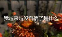我越来越没自信了是什么歌 刘哈哈与大先生完整版歌词介绍