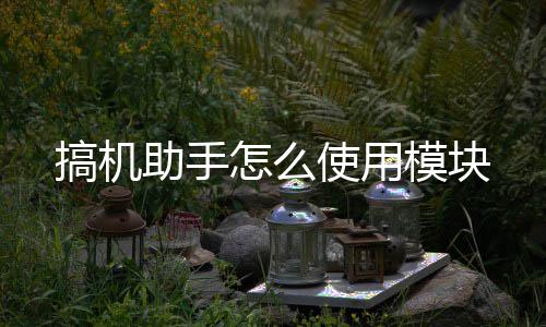 模块搞机使用助手怎么