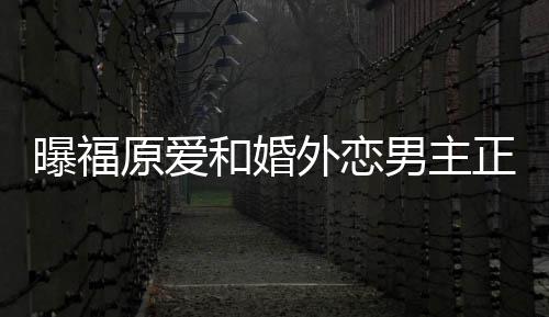 帮她不少外恋曝福原爱商界正式恋爱男主 男和婚方是精英
