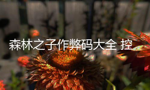 控制码大码一全 森林之子作弊览台代