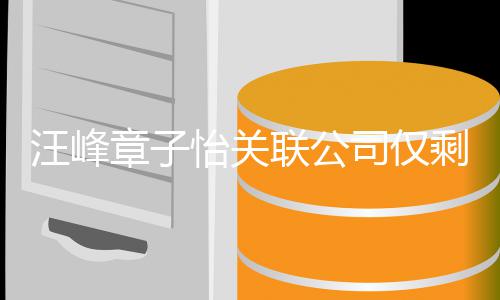 汪峰怡关公司司仅剩1章子联公 两人退投资出某家