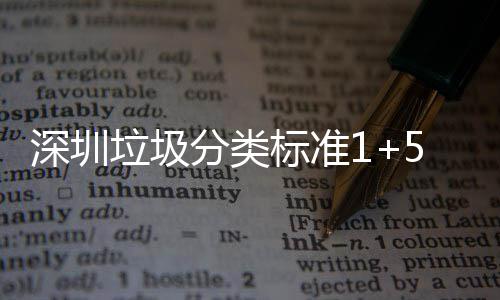 标准深圳生产实景垃圾5六垃圾桶摆图分类分类放及