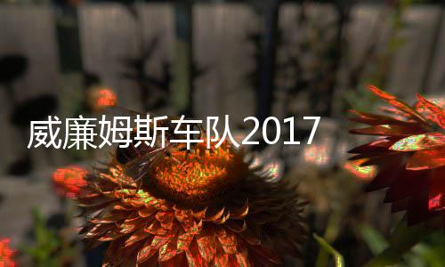威廉威廉队役再姆斯 马姆车萨退车队复出加入