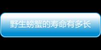 野生螃蟹的寿命有多长