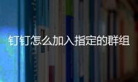 钉钉怎么加入指定的群组