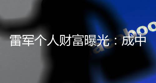 曝光个人企业中国增长最多雷军财富成财富家