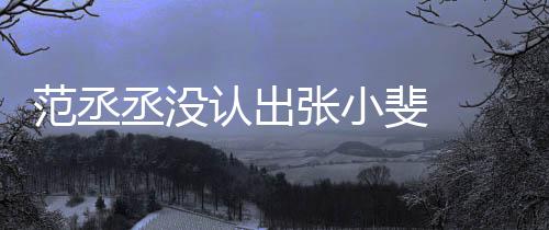 把张小斐情况什么张小张伟认出丞没 错范丞斐 叫成