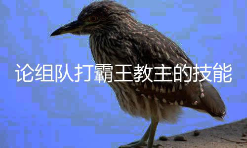 霸王队打的技论组能教主