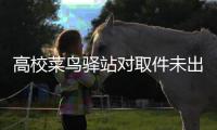 高校菜鸟驿站对取件未出库罚款100元 是罚取货人的款